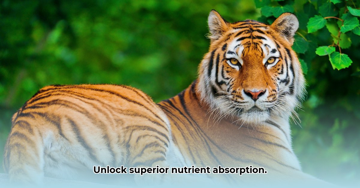 wild-nutrition